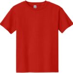 Heavy Cotton Youth T-Shirt