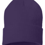 12" Solid Cuffed Beanie